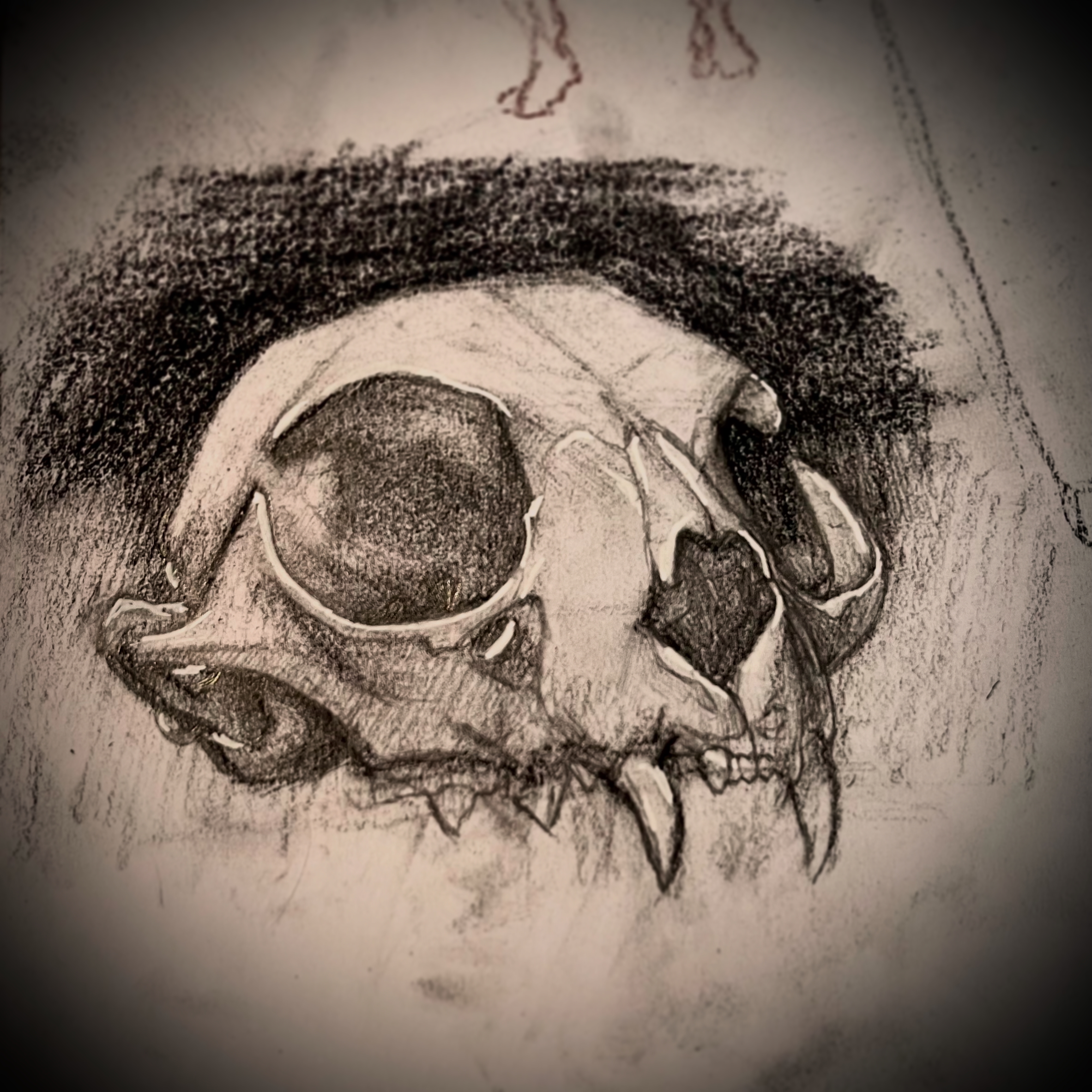 Study