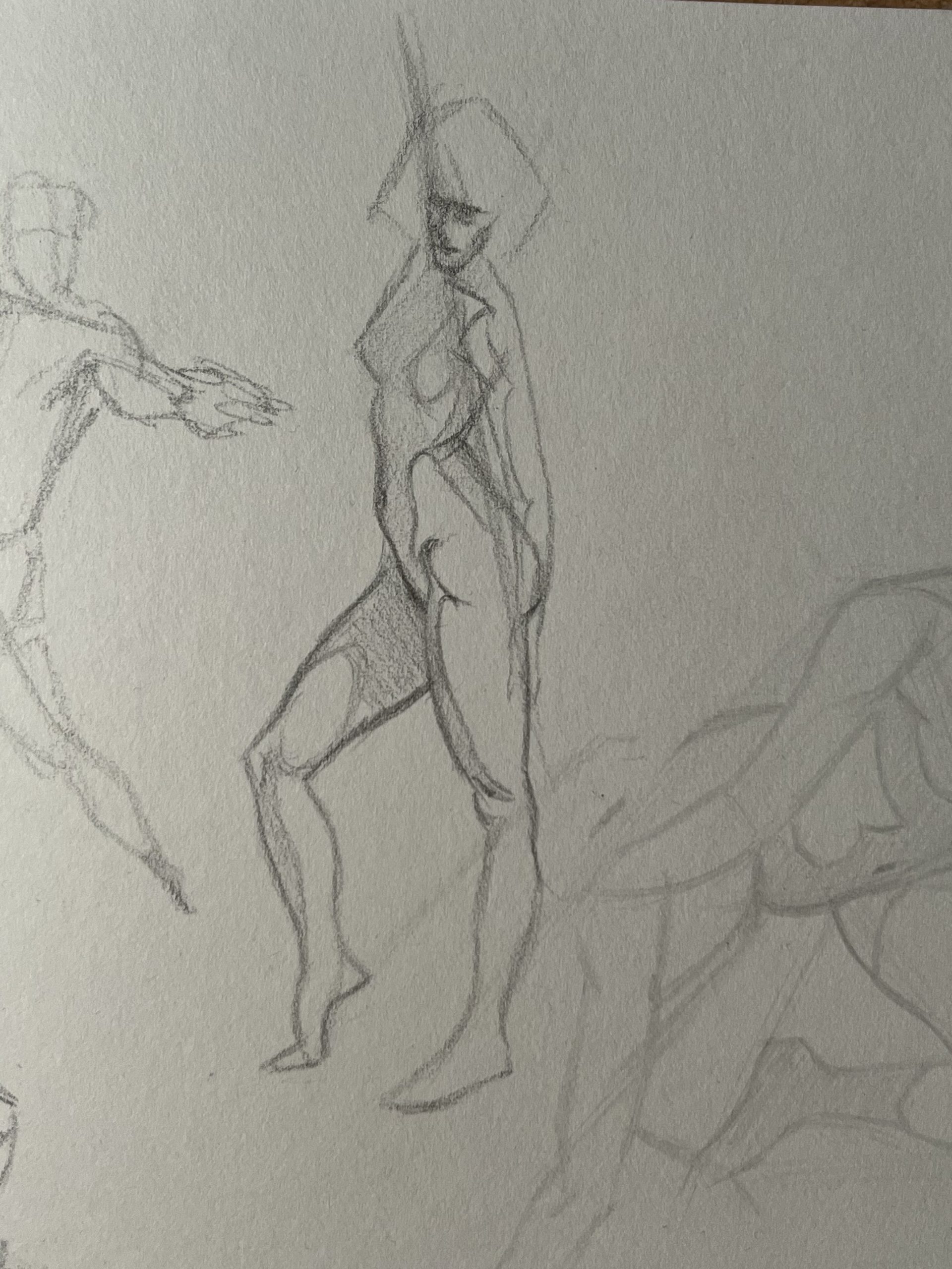 Anatomy Study