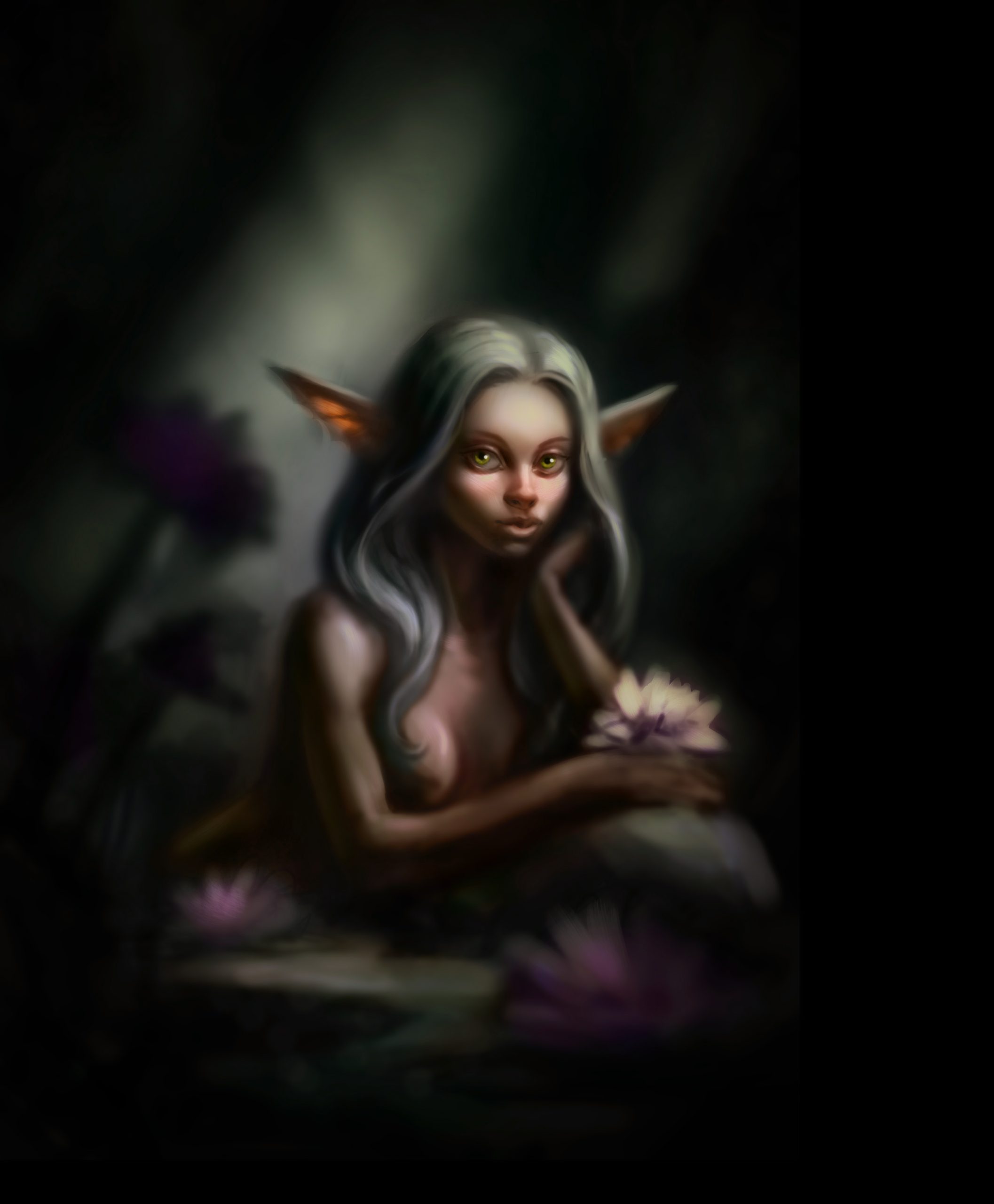Nixxe_V2.2