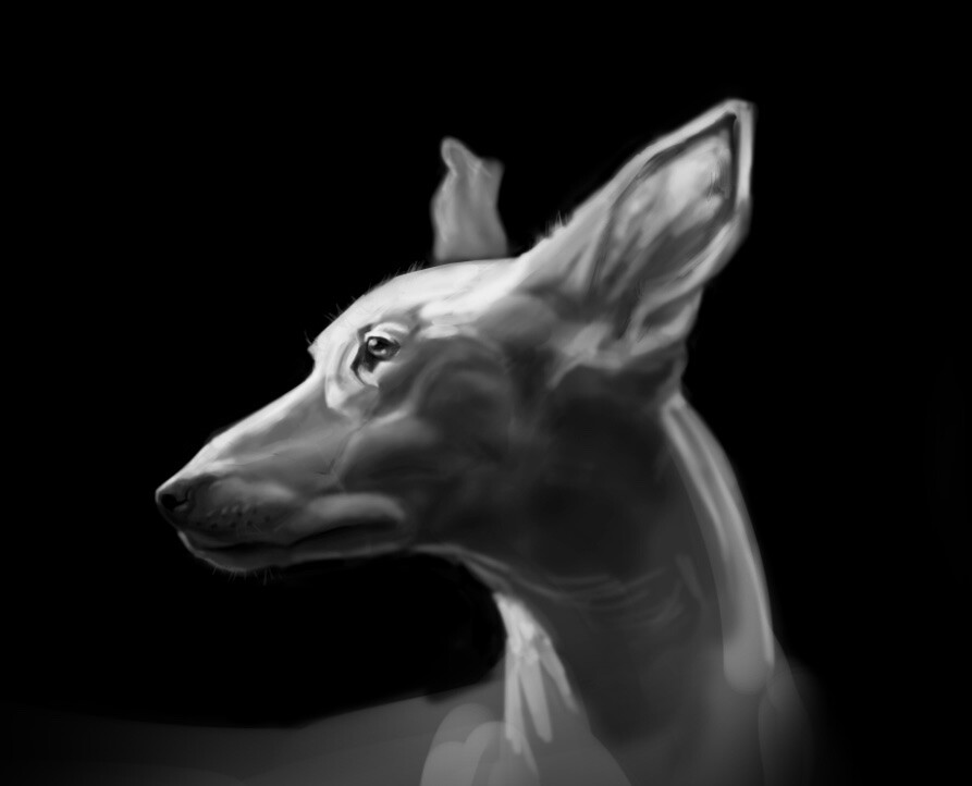 Dog Painting